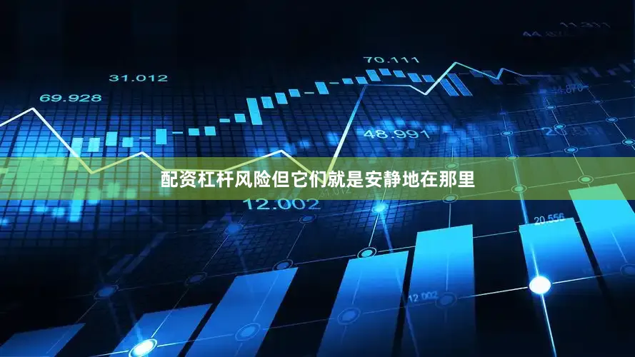 配资杠杆风险但它们就是安静地在那里