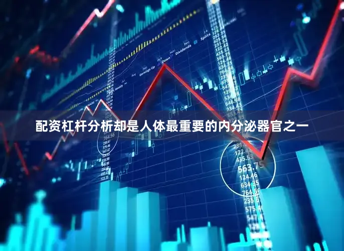 配资杠杆分析却是人体最重要的内分泌器官之一